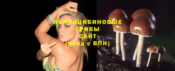 амф Абинск