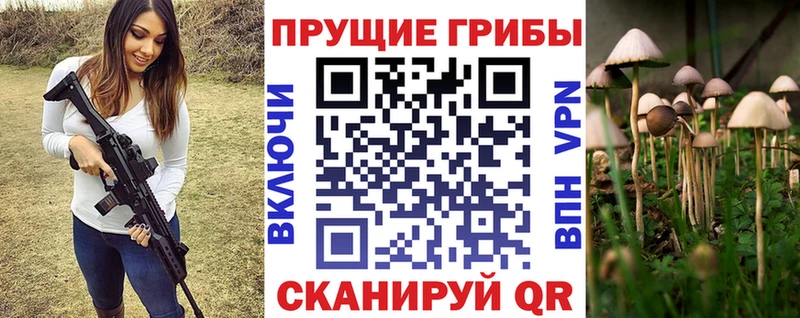 Галлюциногенные грибы Psilocybine cubensis  дарнет шоп  Новокубанск 